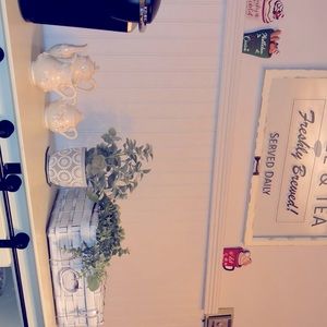 NEW IN BOX Lambs Ear plant NIB great gift idea 🌲 🎁